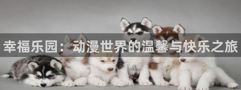 78动漫寿屋：幸福乐园：动漫世界的温馨与快乐之旅